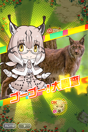 シベリアオオヤマネコ けものフレンズfestival けもフェス 攻略 Wiki