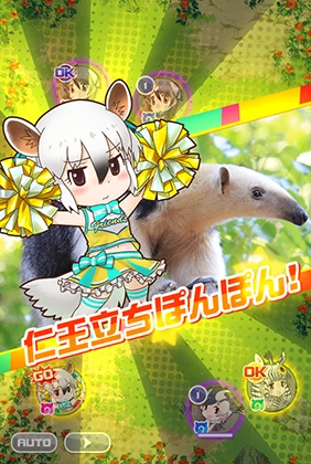 チア】ミナミコアリクイ - けものフレンズFESTIVAL -けもフェス- 攻略 Wiki*