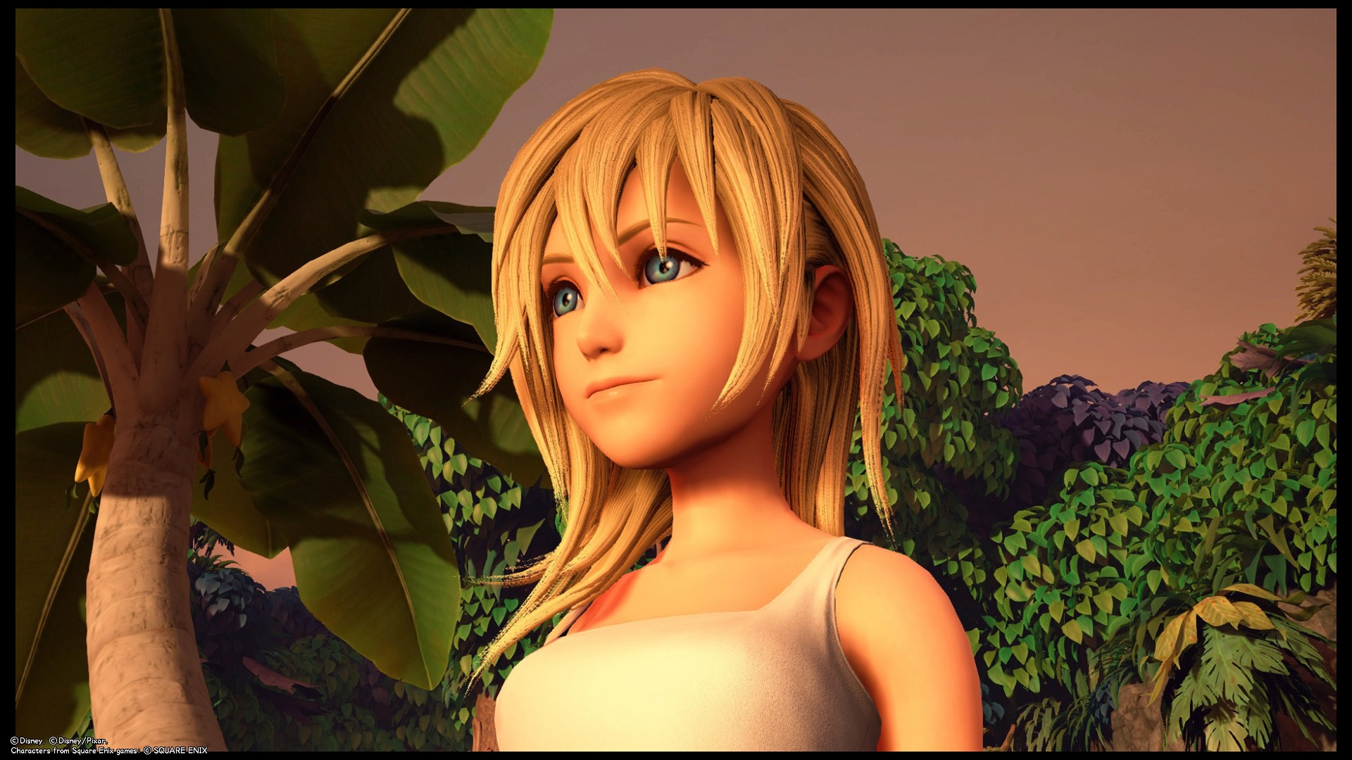 撮影画像集 Kingdom Hearts Iii Wiki