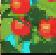 tomato.JPG tomato.JPG
