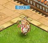 クアル.JPG クアル.JPG