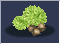 marron.gif marron.gif