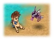 Purple_SeaHourse_1.jpg Purple_SeaHourse_1.jpg