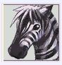 zebra.JPG zebra.JPG