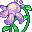 z_hyacinth.gif