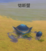 切断蟹.jpg 切断蟹.jpg