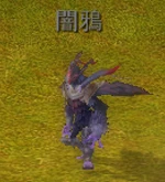 闇鴉.jpg