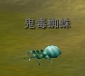 鬼毒蜘蛛.jpg 鬼毒蜘蛛.jpg