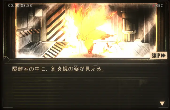 紅炎蛾(LCB定期検診).png