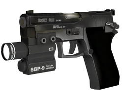 P220.png