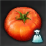 新鮮なトマト.png