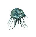 Summon Jellyfish13.jpg