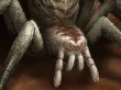 リンドブルムの土蜘蛛s.jpg