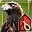 Eagle-Friend-icon.png