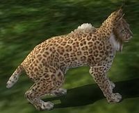 200px-Spotted_Lynx_appearance.jpg