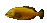 死んだ金輪魚亜種.png