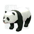 Panda.gif