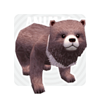 Mini_Bear.gif