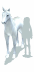 Unicorn2.gif