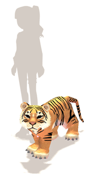 YellowTiger_scale.gif