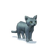 ペット Mabinogi Wiki ペット Mabinogi Wiki