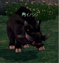 モンスター データベース イノシシ Mabinogi Wiki