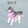 White_Warg.png