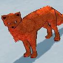 mini_red_physis_fox.jpg
