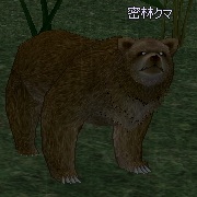 jungle_bear.jpg