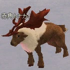 red_reindeer.jpg