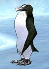 white_penguin.jpg