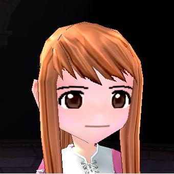 種族 人間 女性容姿の種類 Mabinogi Wiki