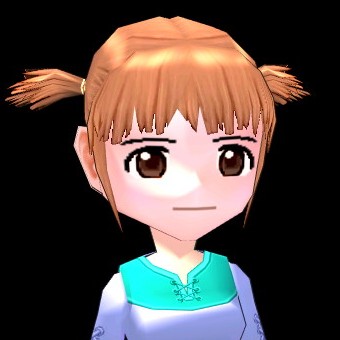 種族 人間 女性容姿の種類 Mabinogi Wiki