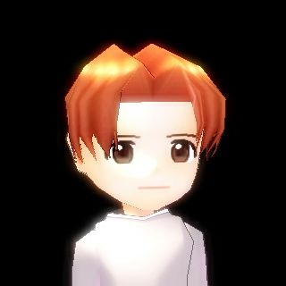 種族 人間 男性容姿の種類 Mabinogi Wiki