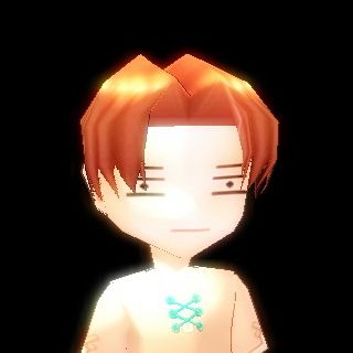 種族 人間 男性容姿の種類 Mabinogi Wiki