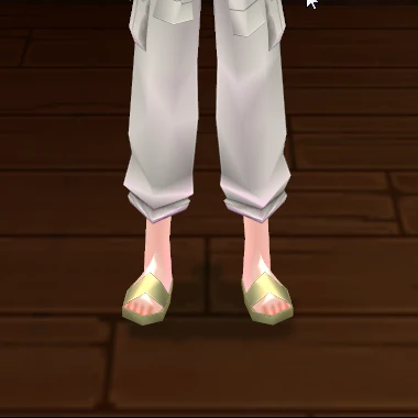 Winry_Rockbell's_Shoes_Front.png
