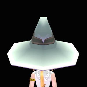 Star-shaped_Floppy_Hat_for_Magician_Back.png