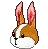 Rabbit-shaped Mask no carrot.gif