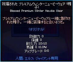 caption_Premium Winter Newbie Wear.JPG