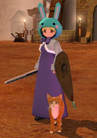 mabinogi_2005_09_29_005.jpg