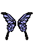 Cute Black Butterfly Wing.png