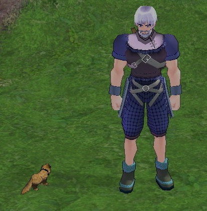 装備 防具 男女兼用 冒険家のクラックスアーマー Mabinogi Wiki