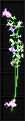 Blessed Romantic Flower Fishing Rod.png