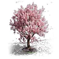桜の木.png