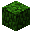 leaves2__0.png leaves2__0.png