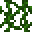 vine_____0.png vine_____0.png