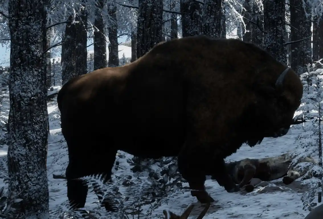 bison-min.png