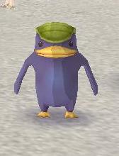 やせたもっちー.JPG やせたもっちー.JPG