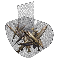 Fish_trap.png