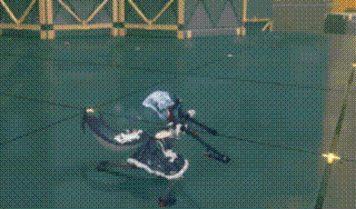 Animation2_1.gif